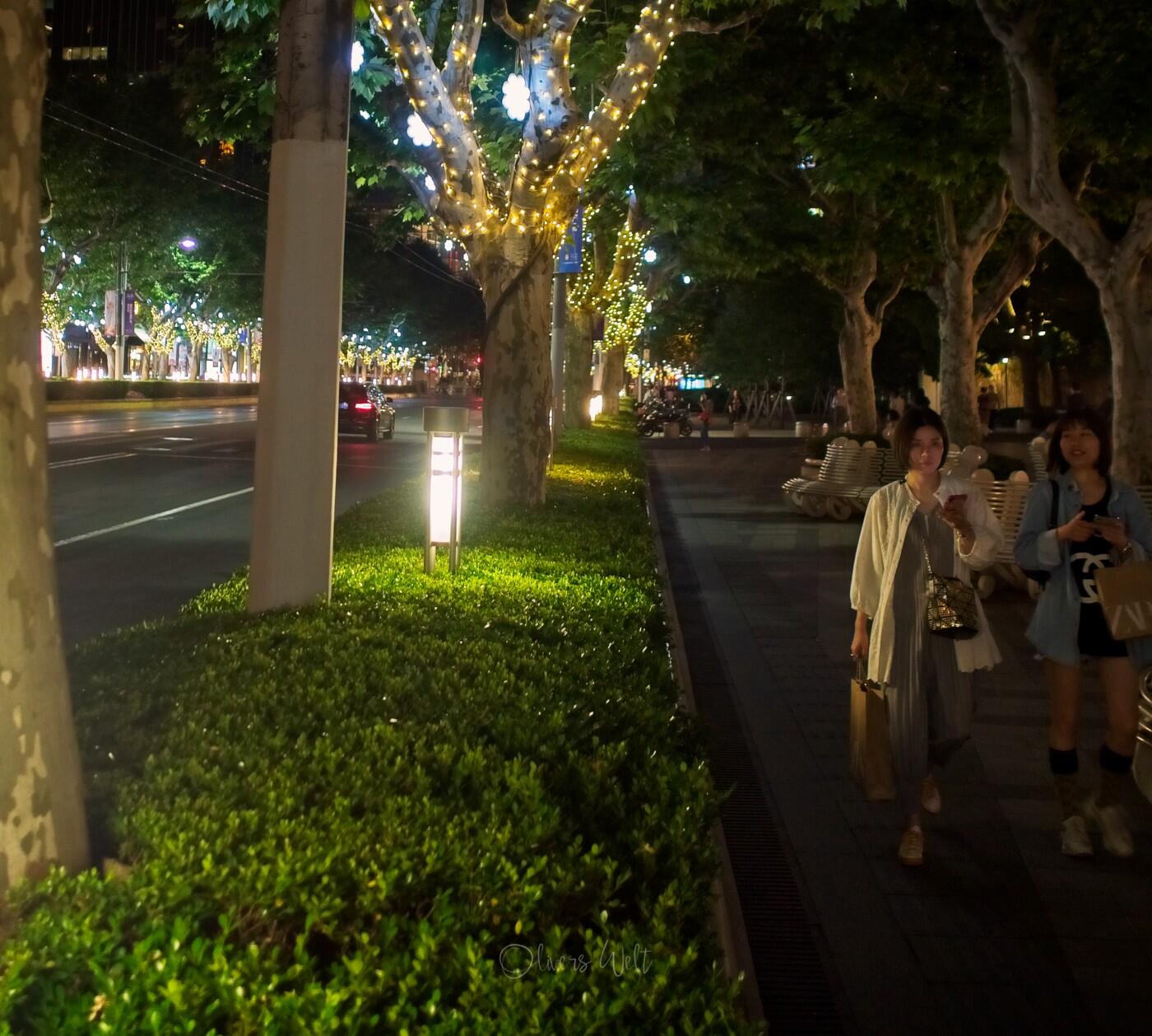 Bild ohne Beschreibung