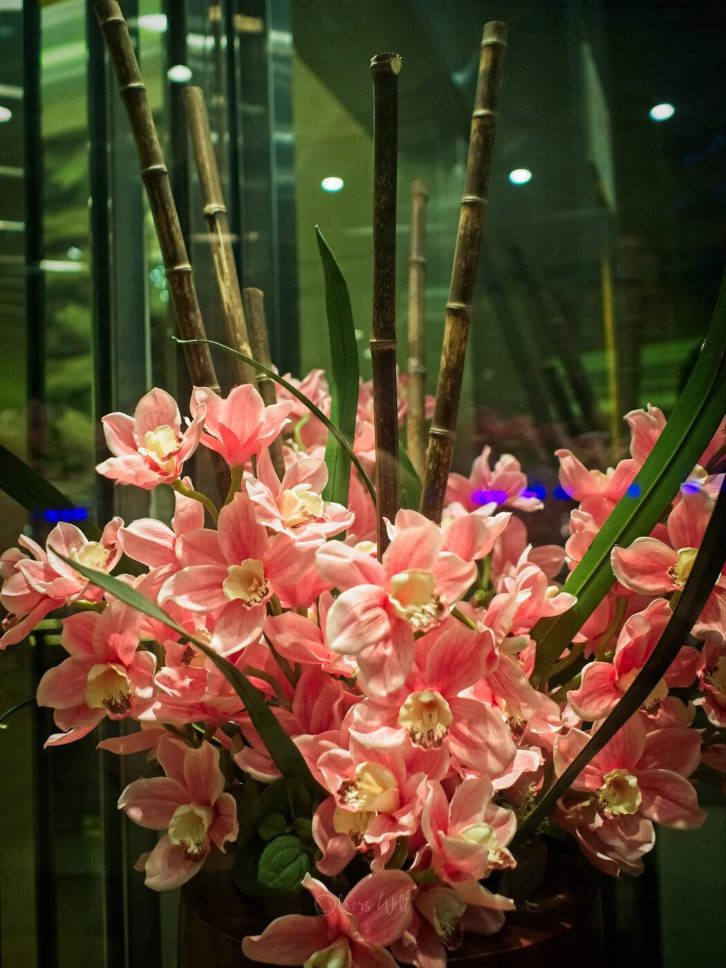 Bild ohne Beschreibung