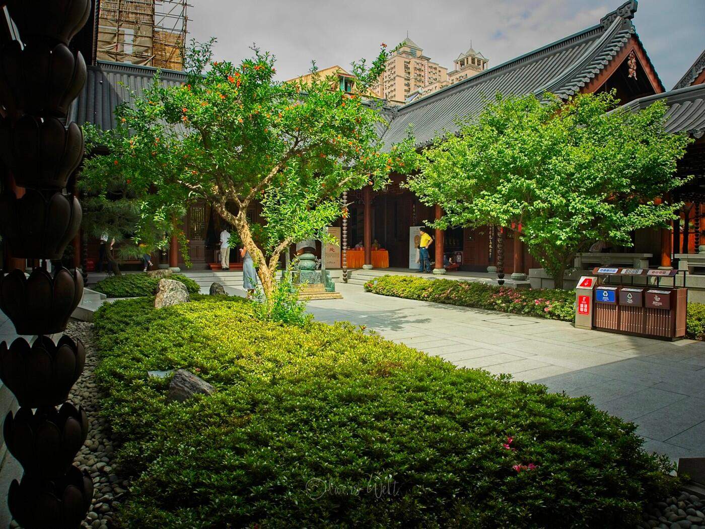 Bild ohne Beschreibung