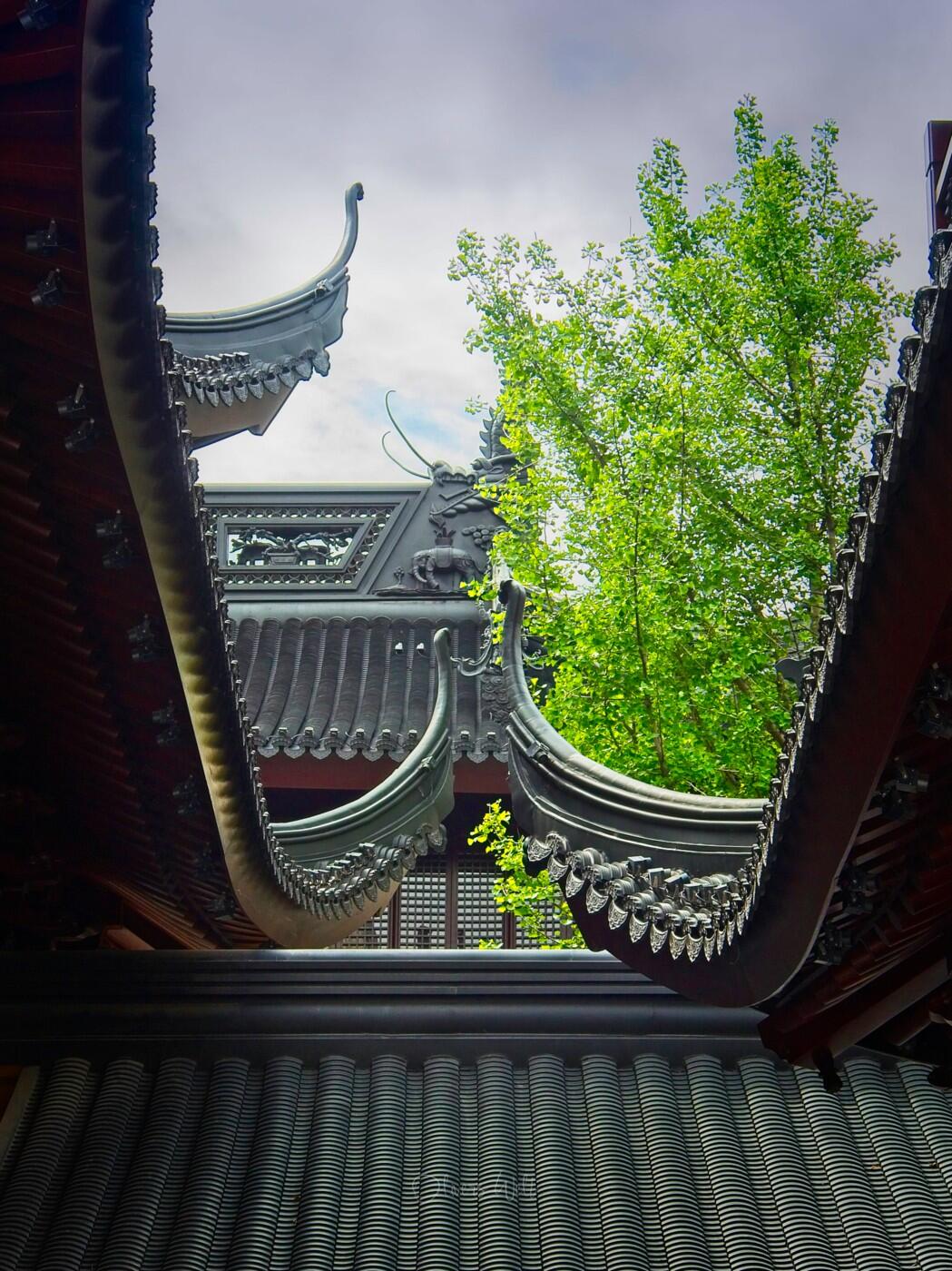 Bild ohne Beschreibung