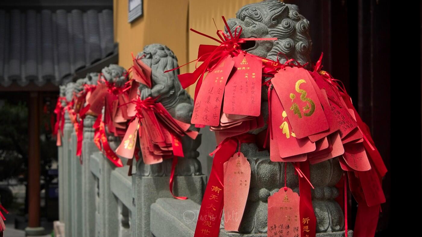 Bild ohne Beschreibung