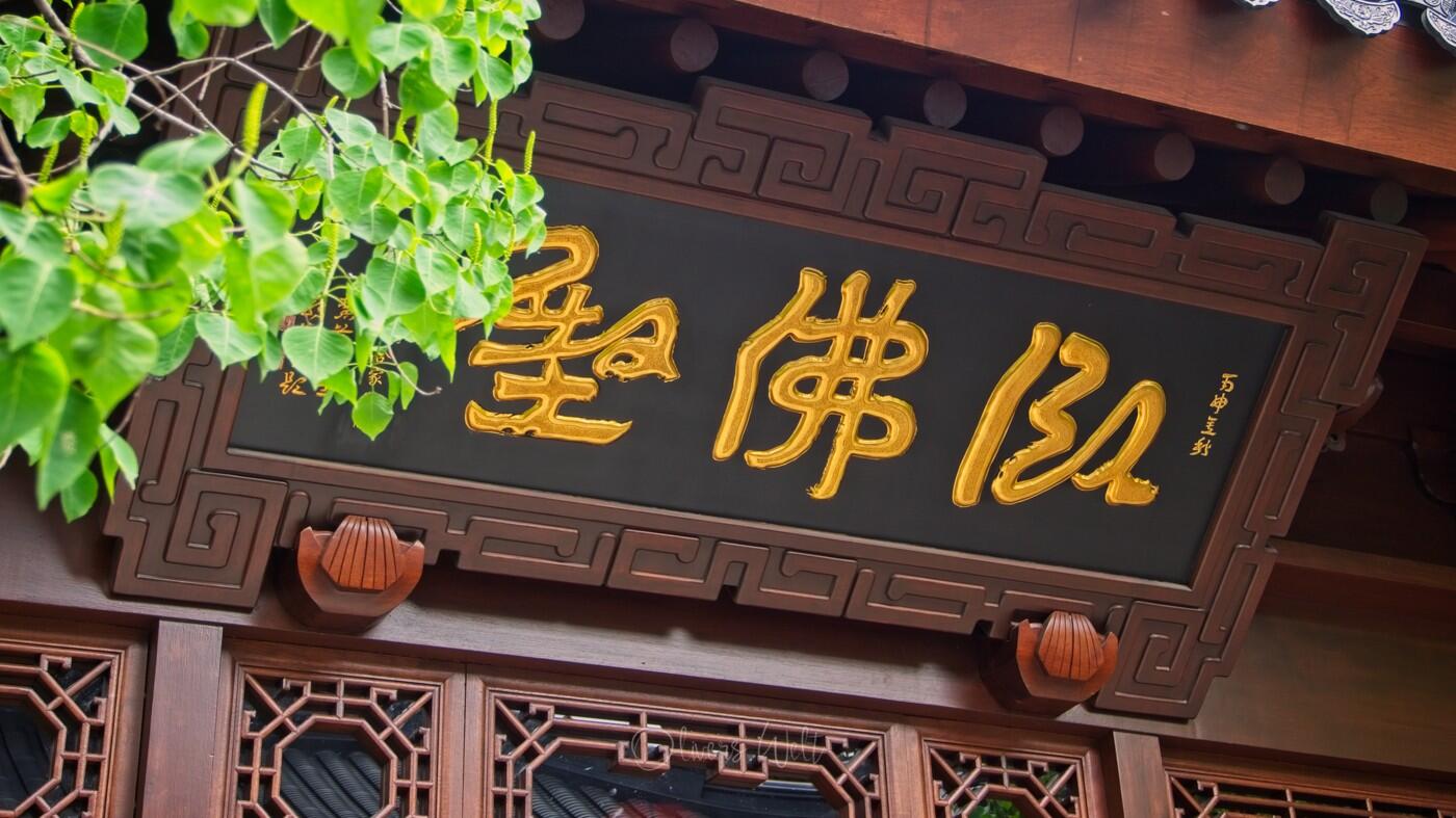 Bild ohne Beschreibung