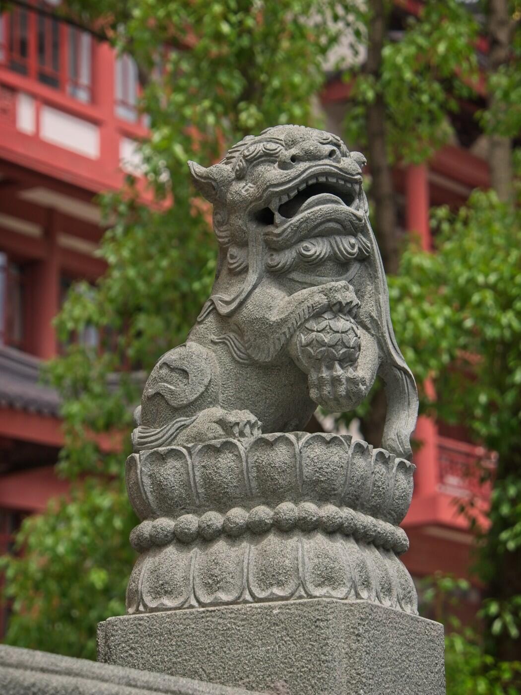 Bild ohne Beschreibung