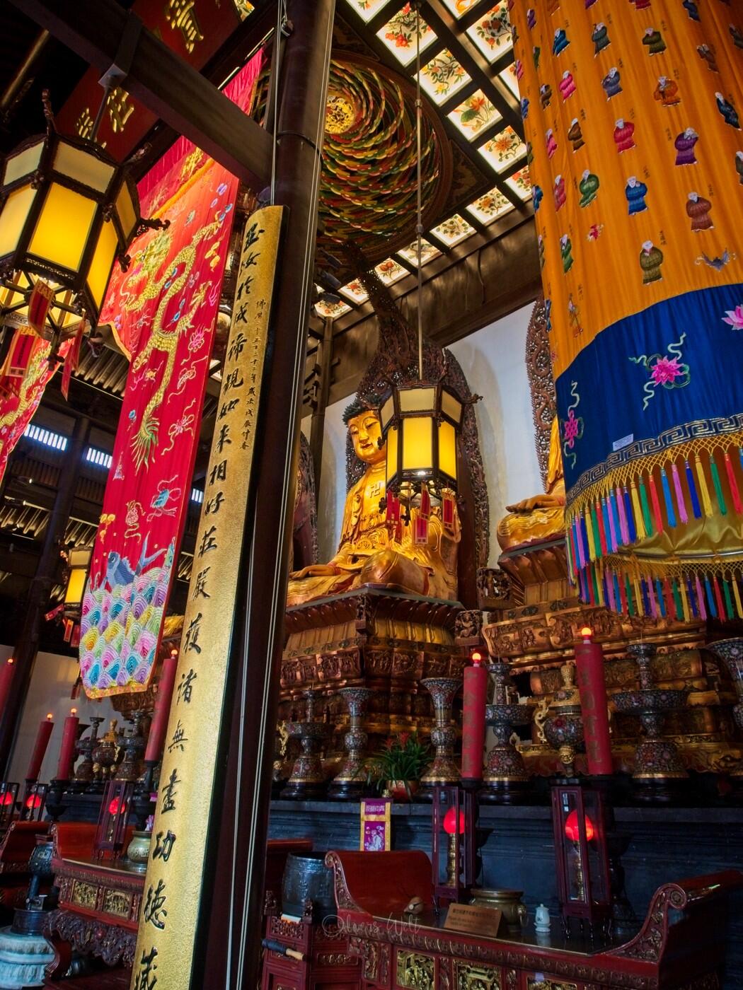 Bild ohne Beschreibung