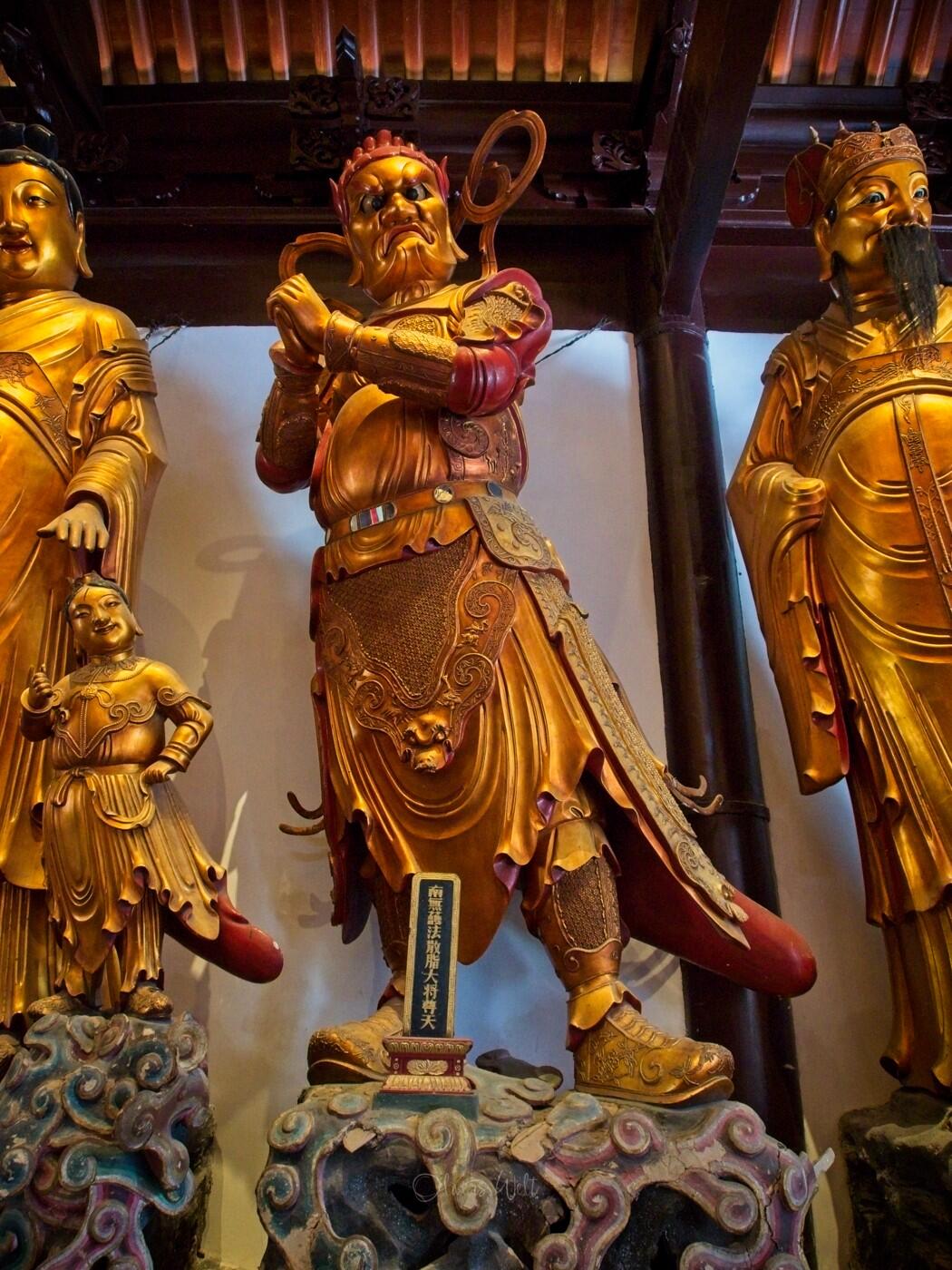 Bild ohne Beschreibung