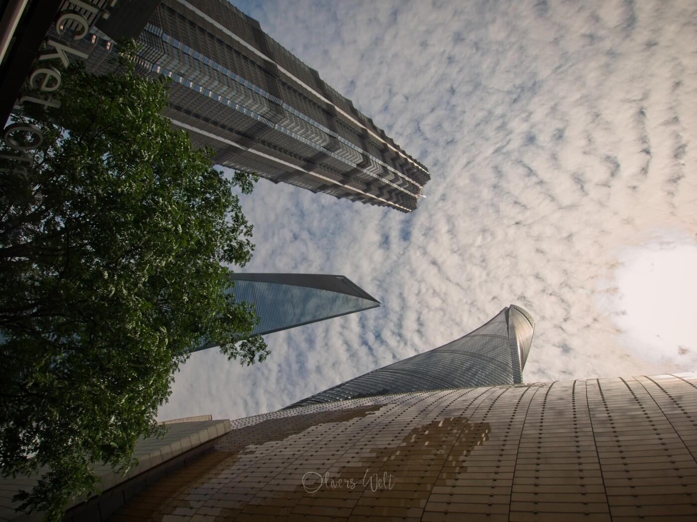 Bild ohne Beschreibung