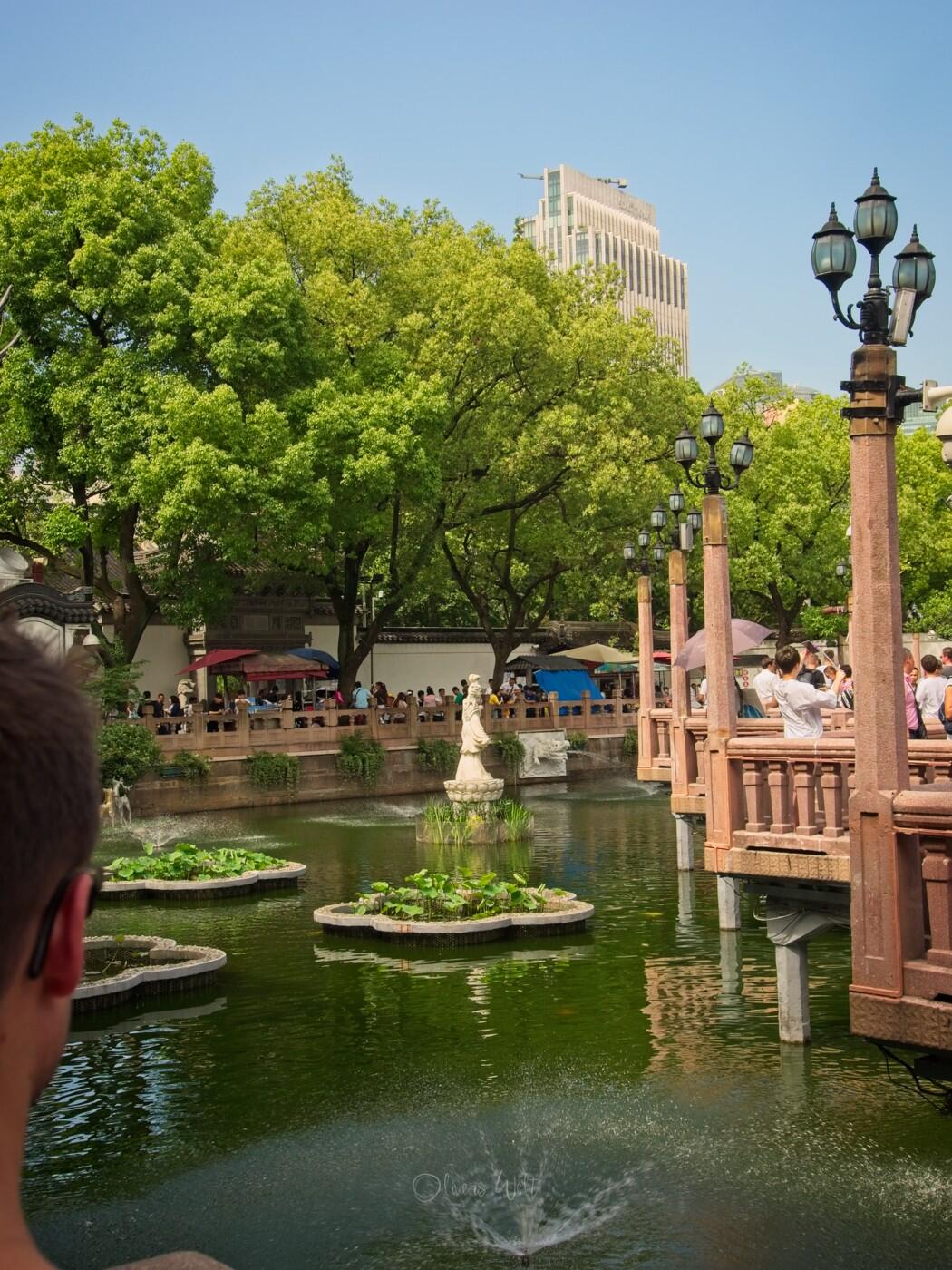 Bild ohne Beschreibung