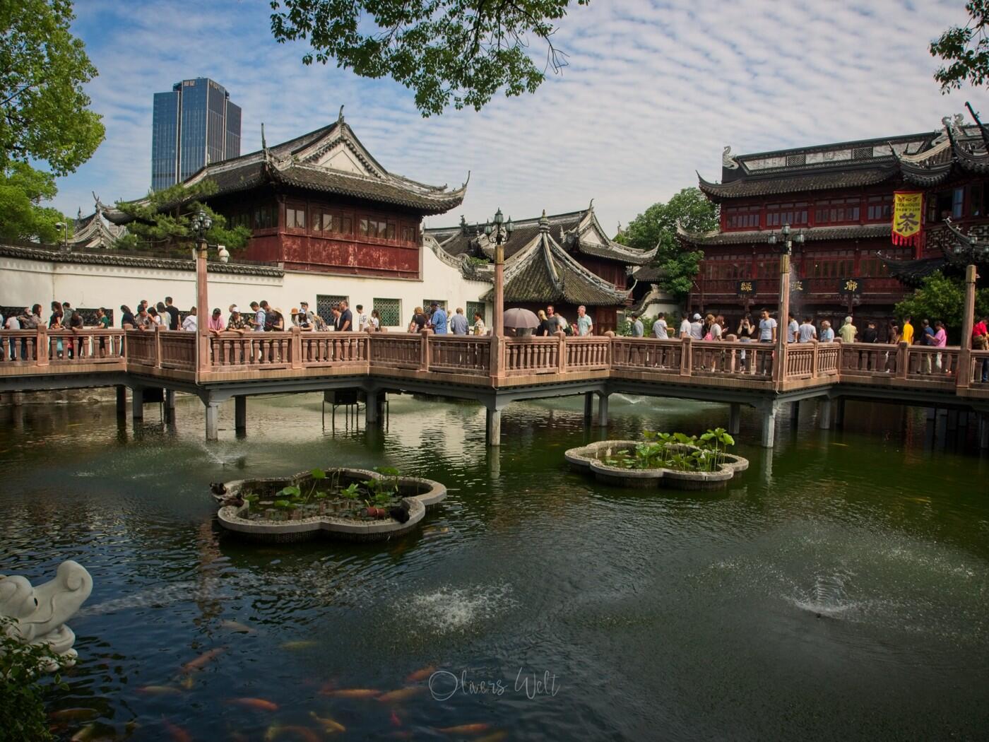 Bild ohne Beschreibung