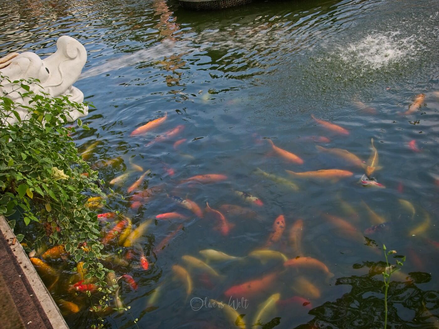 Bild ohne Beschreibung