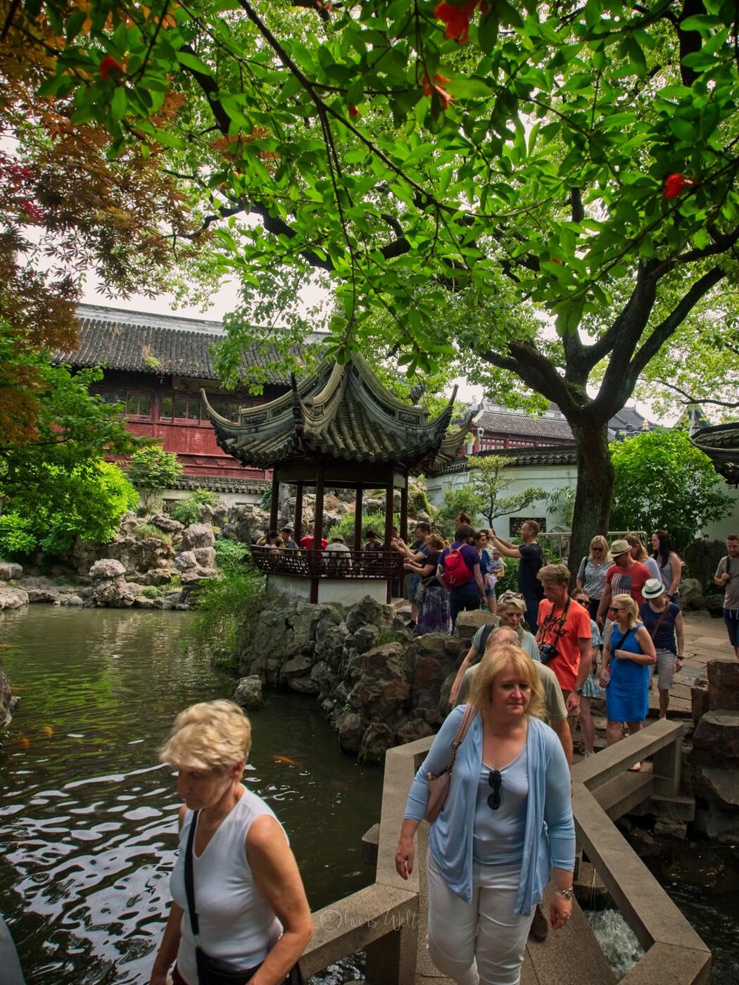 Bild ohne Beschreibung