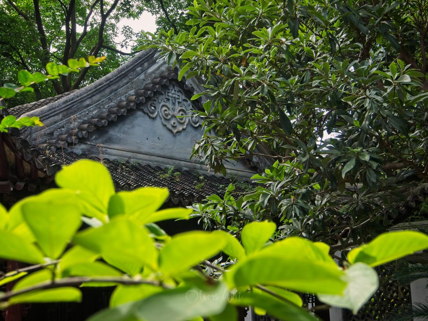 Bild ohne Beschreibung