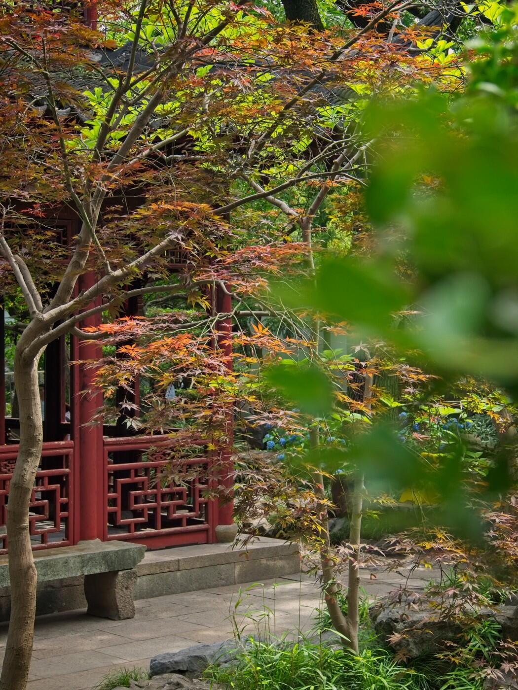 Bild ohne Beschreibung