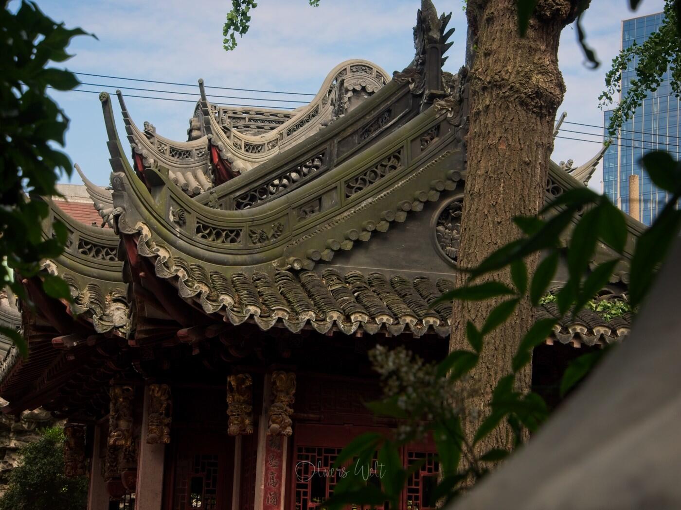 Bild ohne Beschreibung