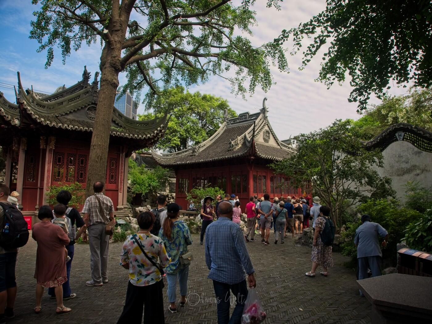 Bild ohne Beschreibung