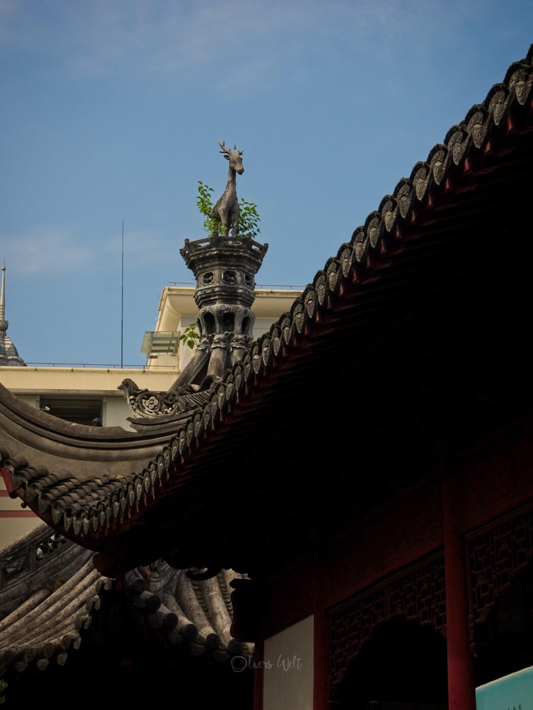 Bild ohne Beschreibung