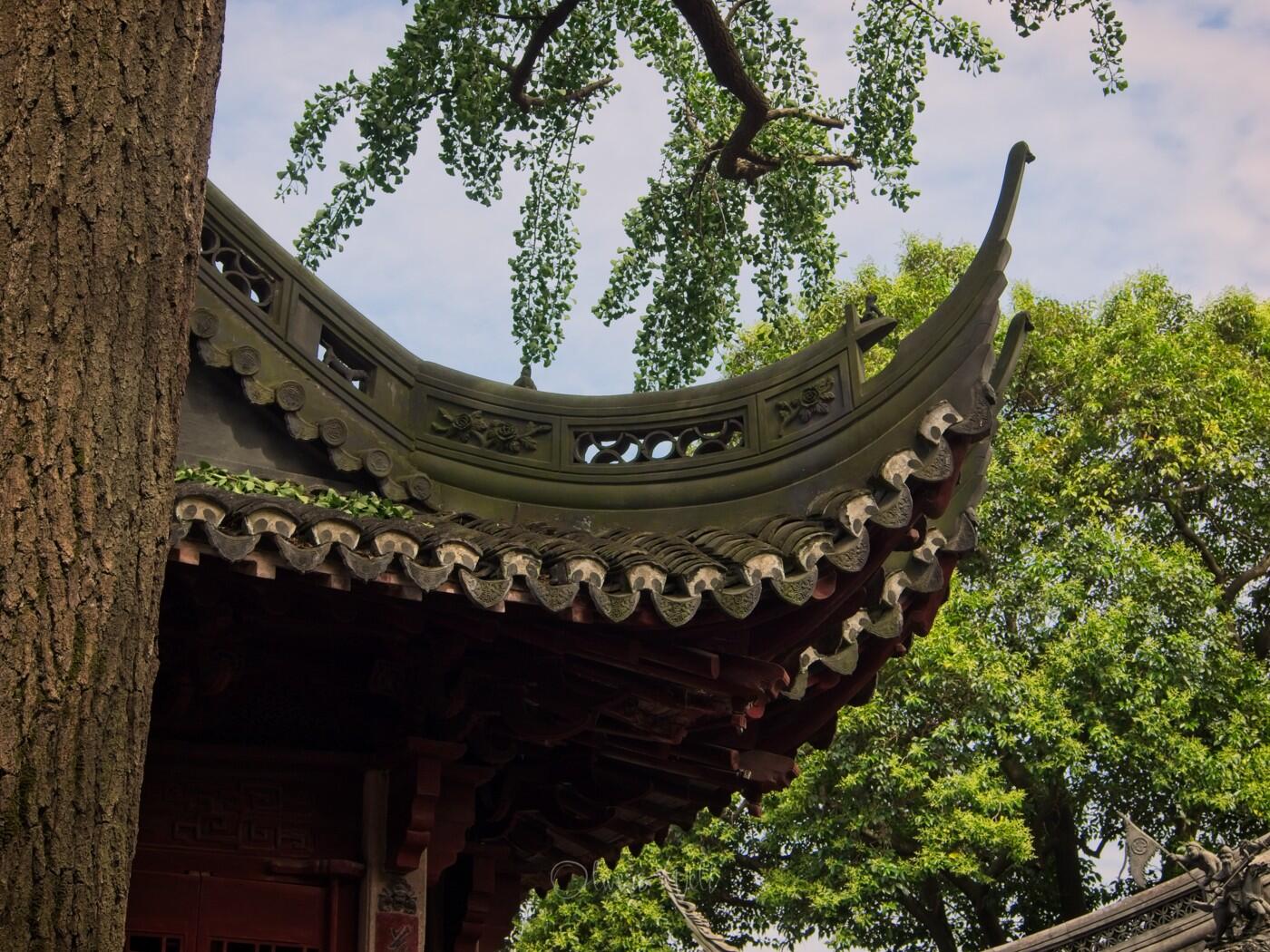 Bild ohne Beschreibung