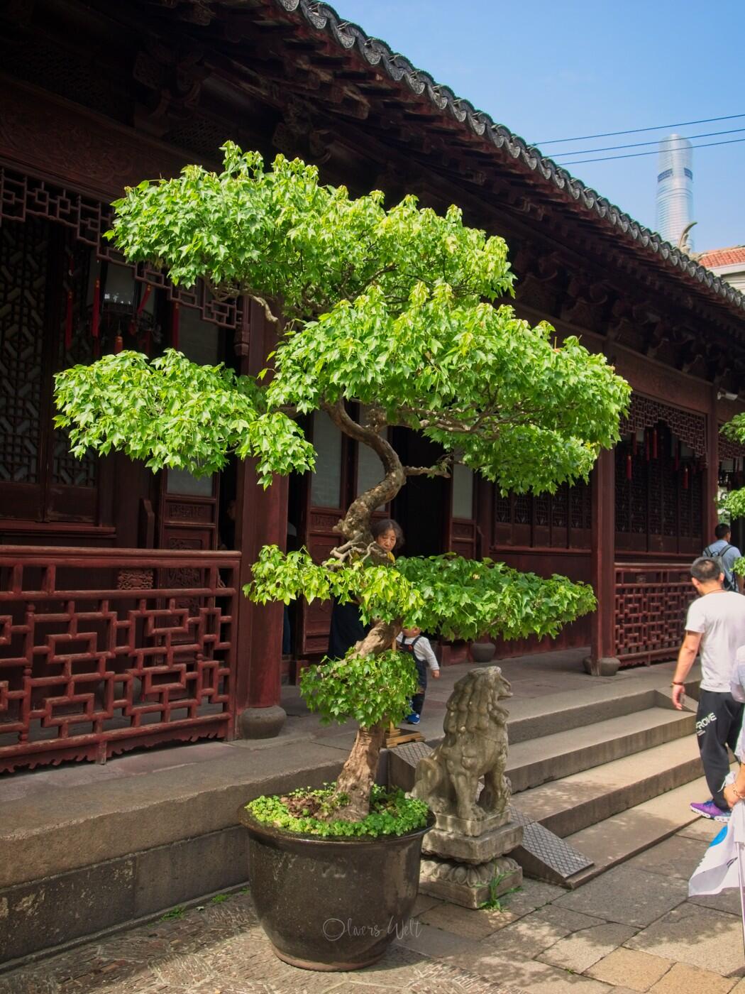 Bild ohne Beschreibung