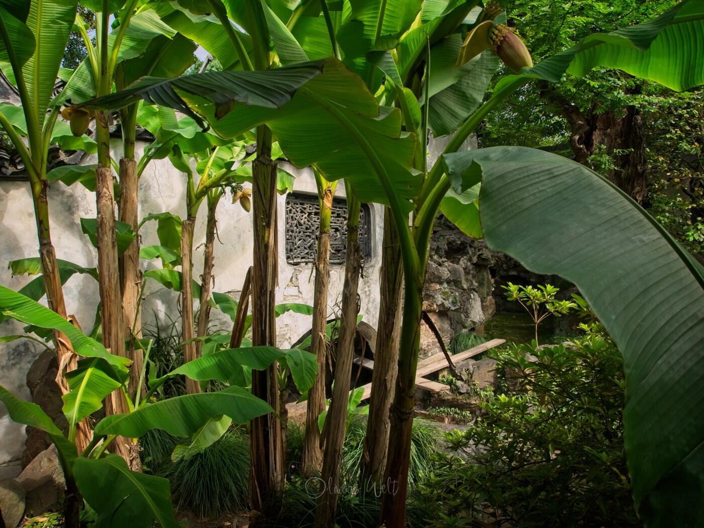 Bild ohne Beschreibung