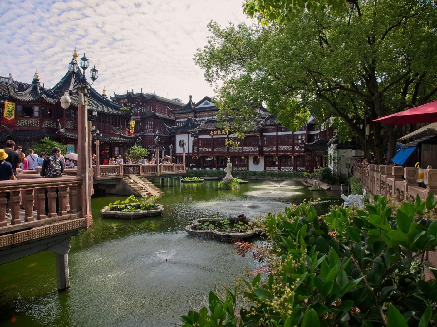 Bild ohne Beschreibung