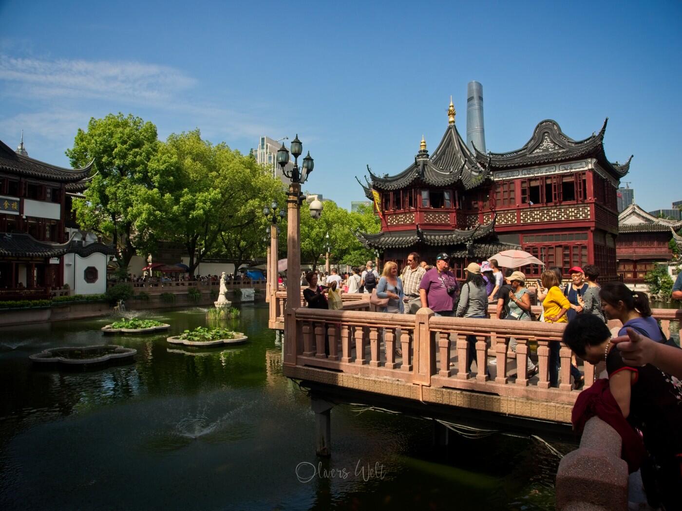 Bild ohne Beschreibung