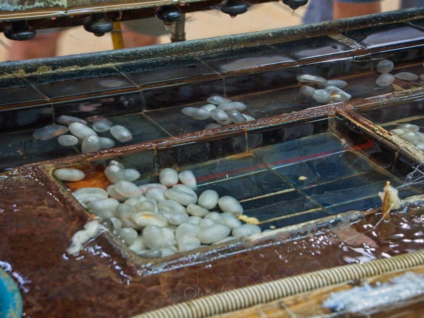 Bild ohne Beschreibung