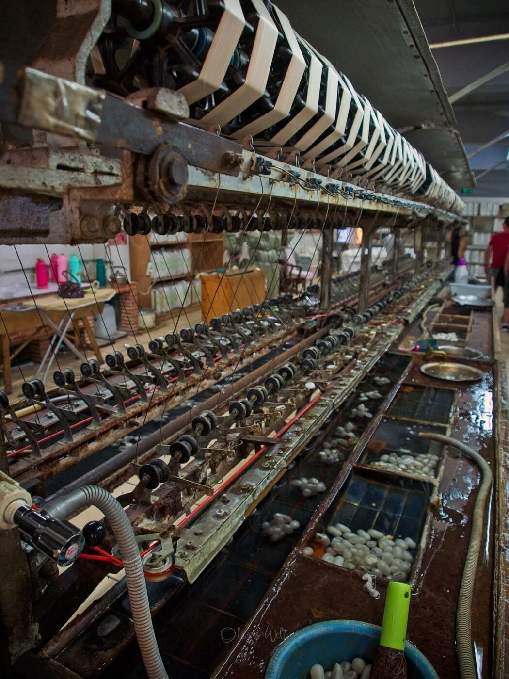 Bild ohne Beschreibung