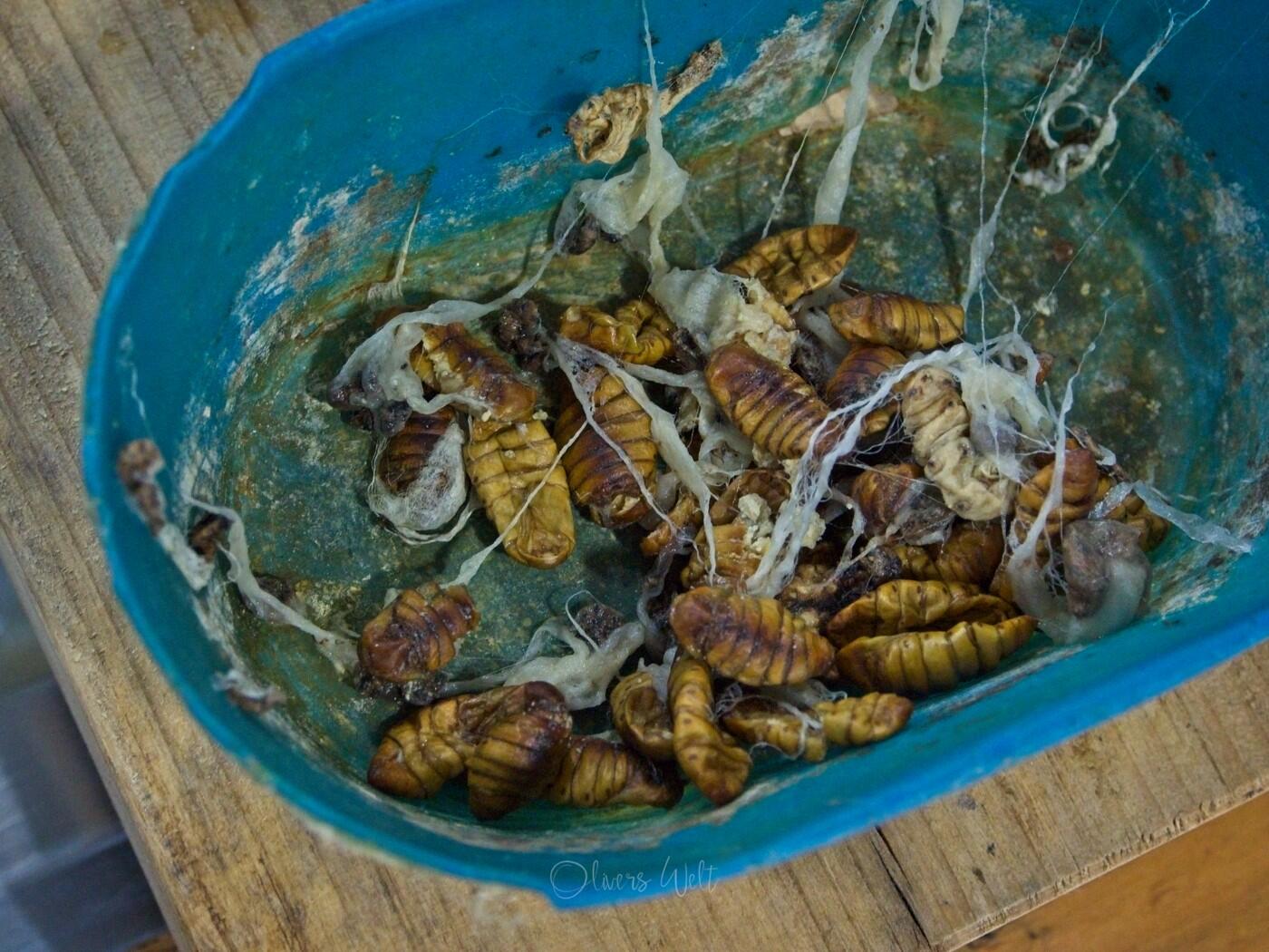 Bild ohne Beschreibung