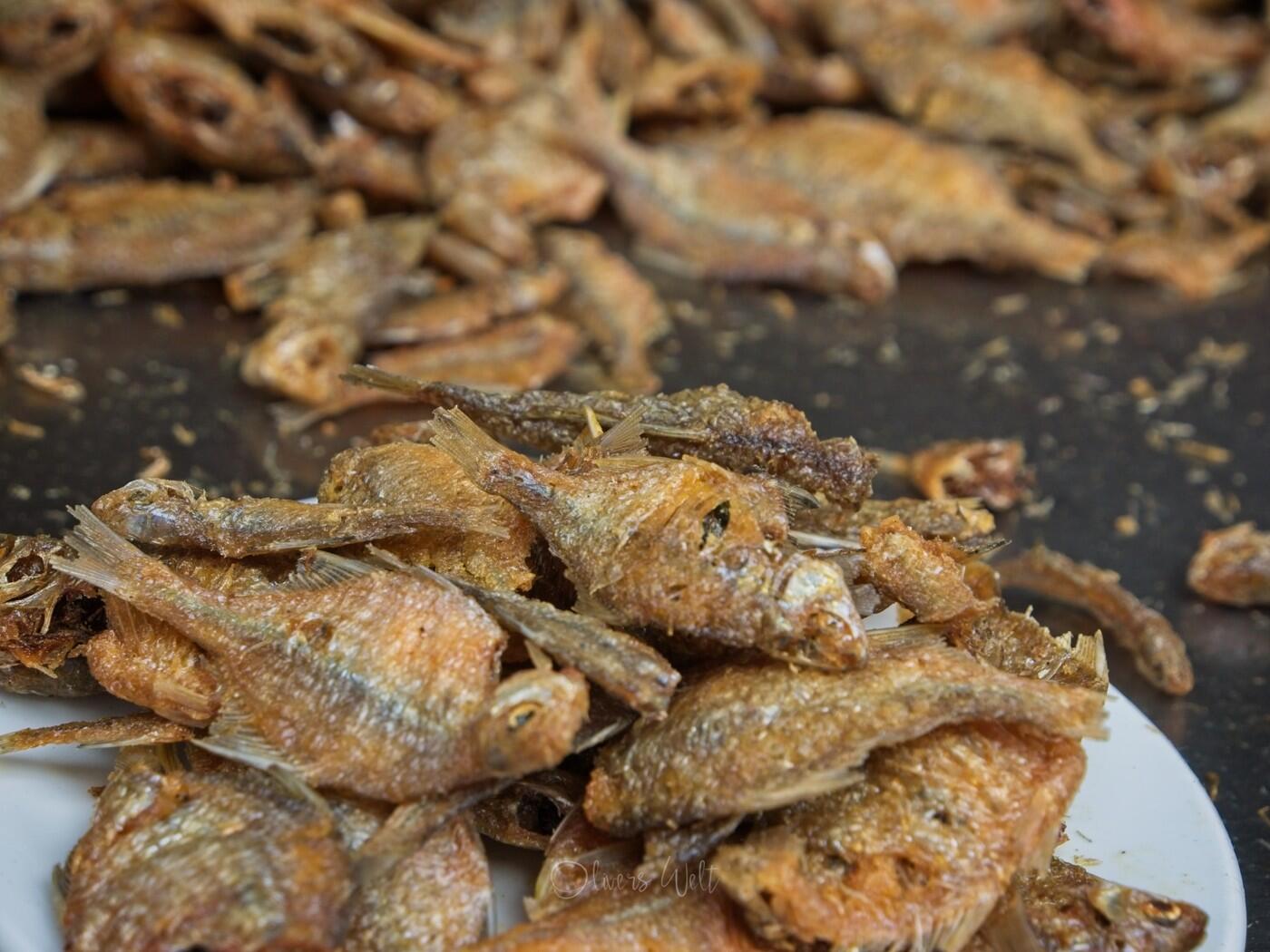 Bild ohne Beschreibung