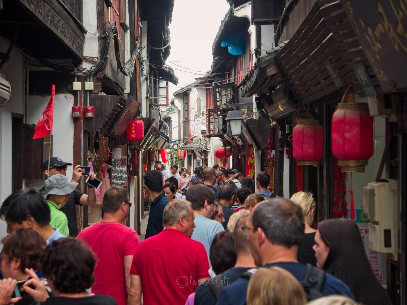 Bild ohne Beschreibung