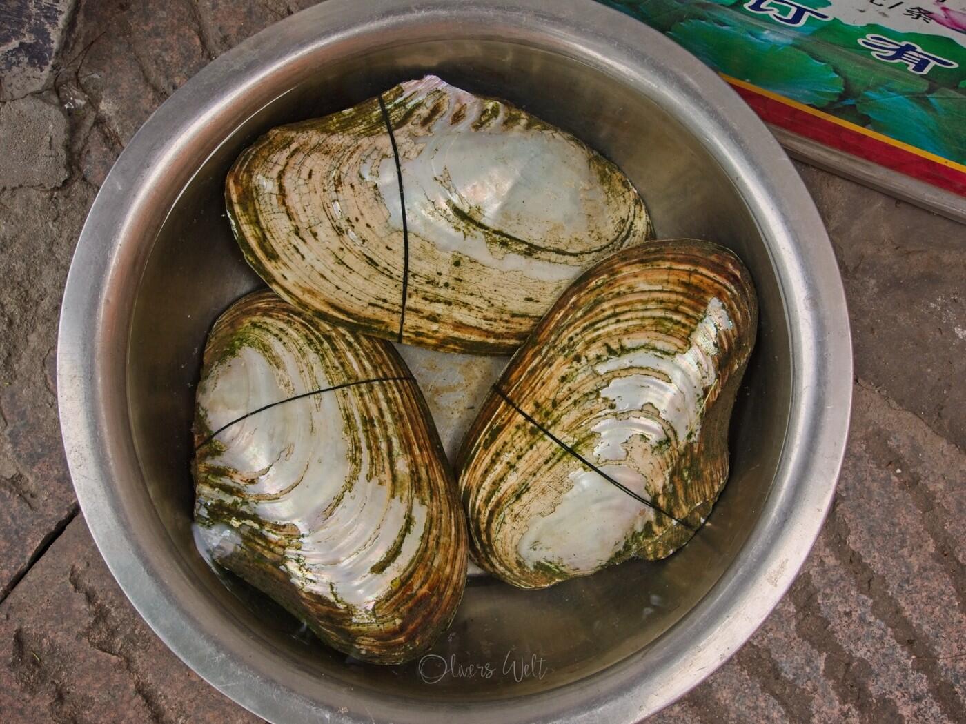 Bild ohne Beschreibung