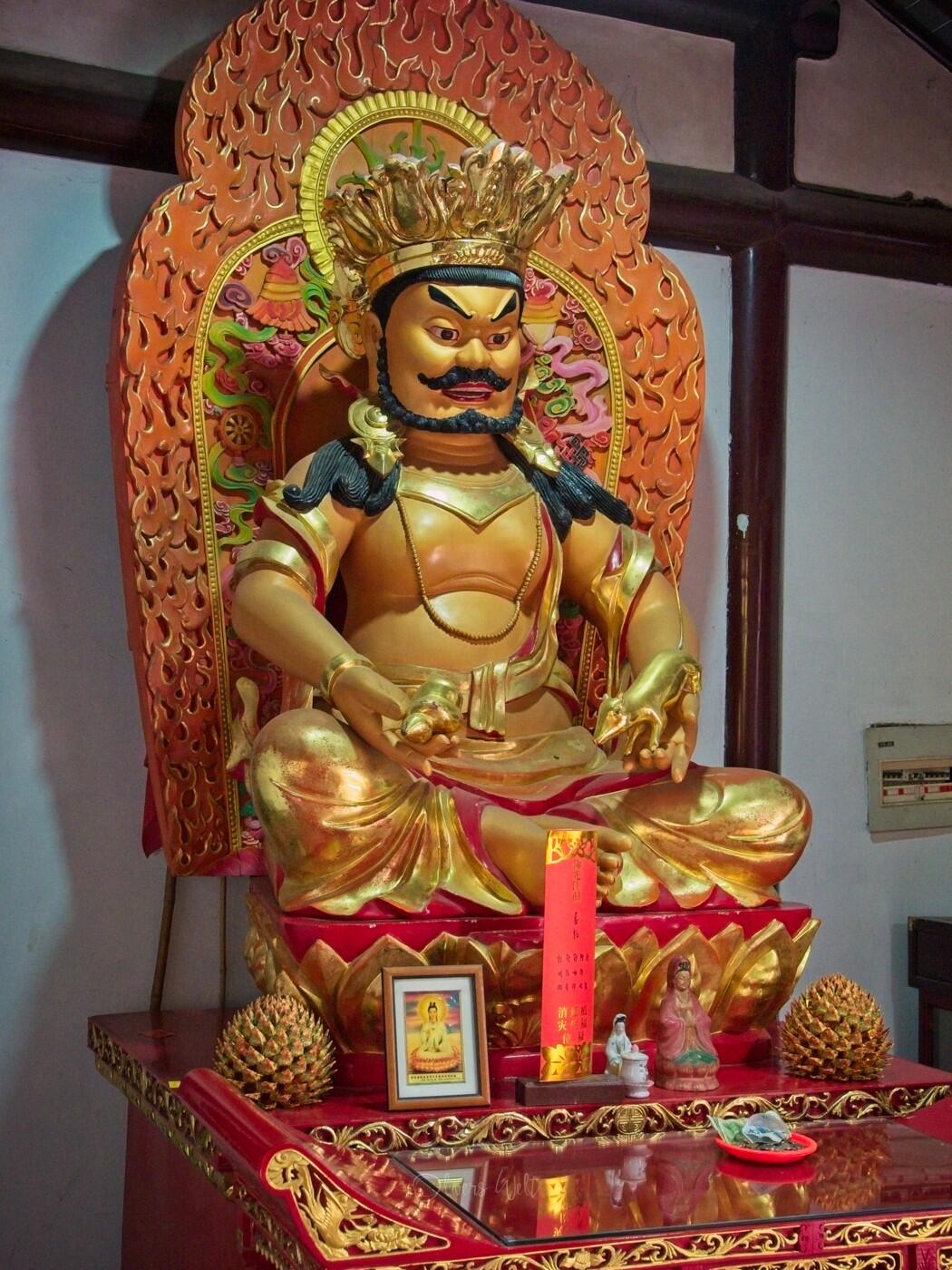 Bild ohne Beschreibung