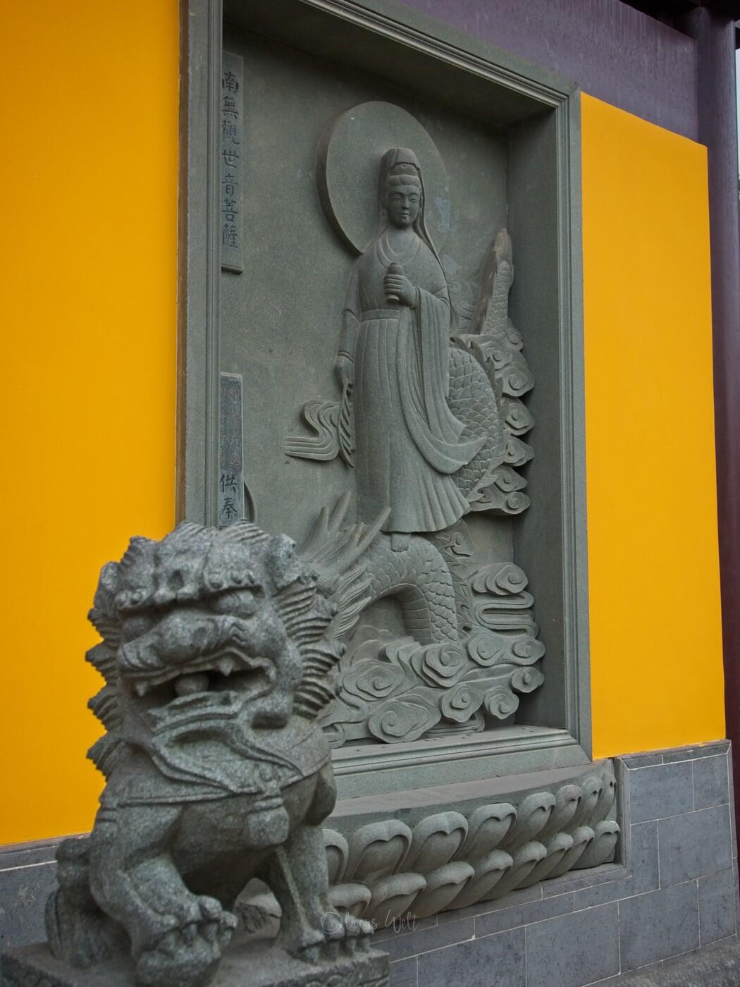 Bild ohne Beschreibung