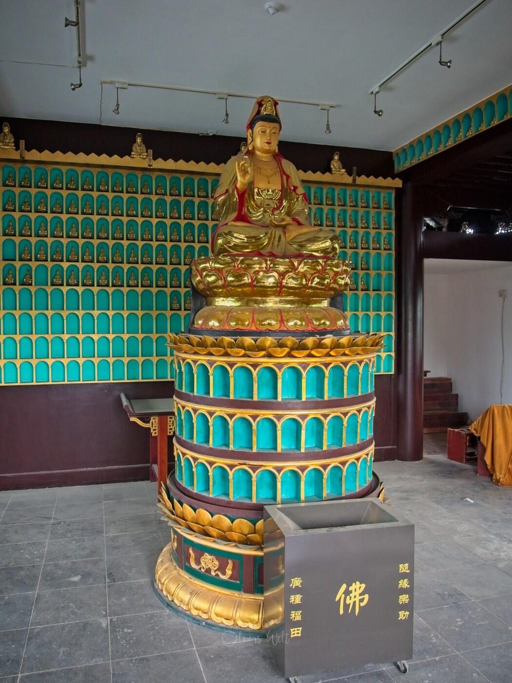 Bild ohne Beschreibung