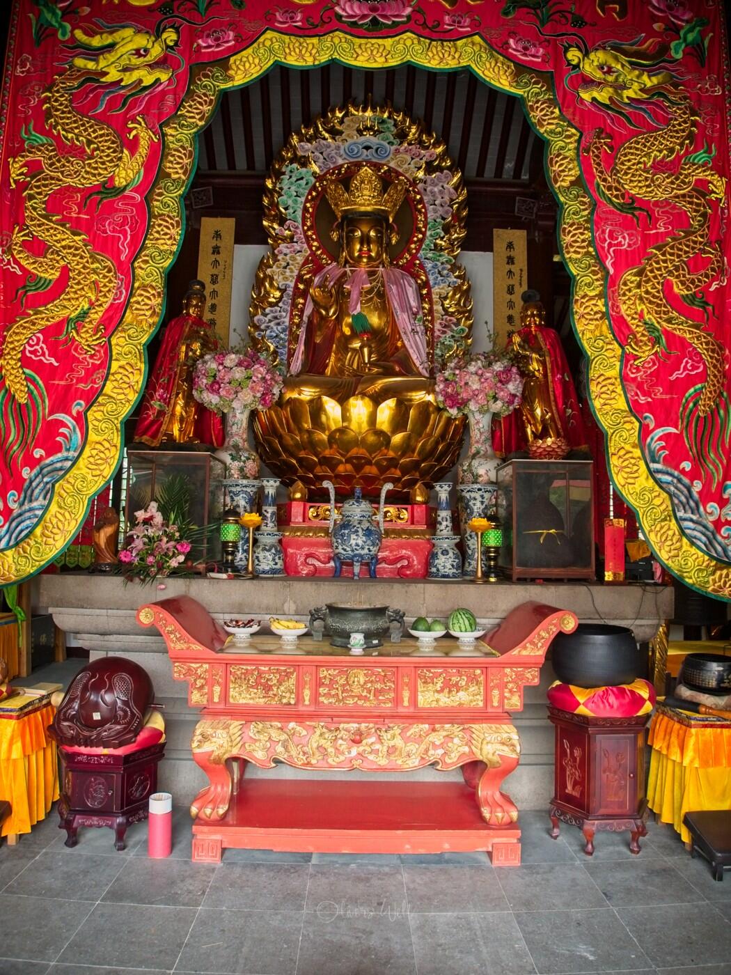 Bild ohne Beschreibung