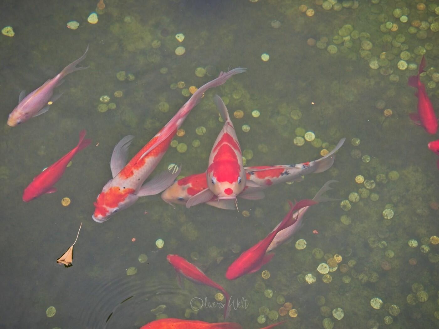 Bild ohne Beschreibung