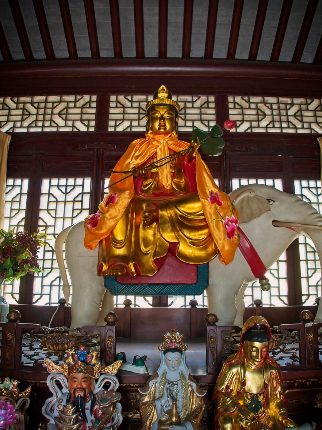 Bild ohne Beschreibung