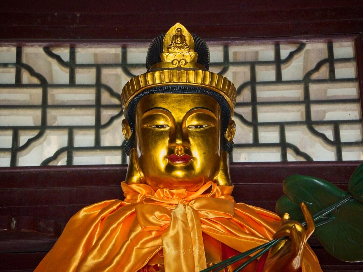 Bild ohne Beschreibung