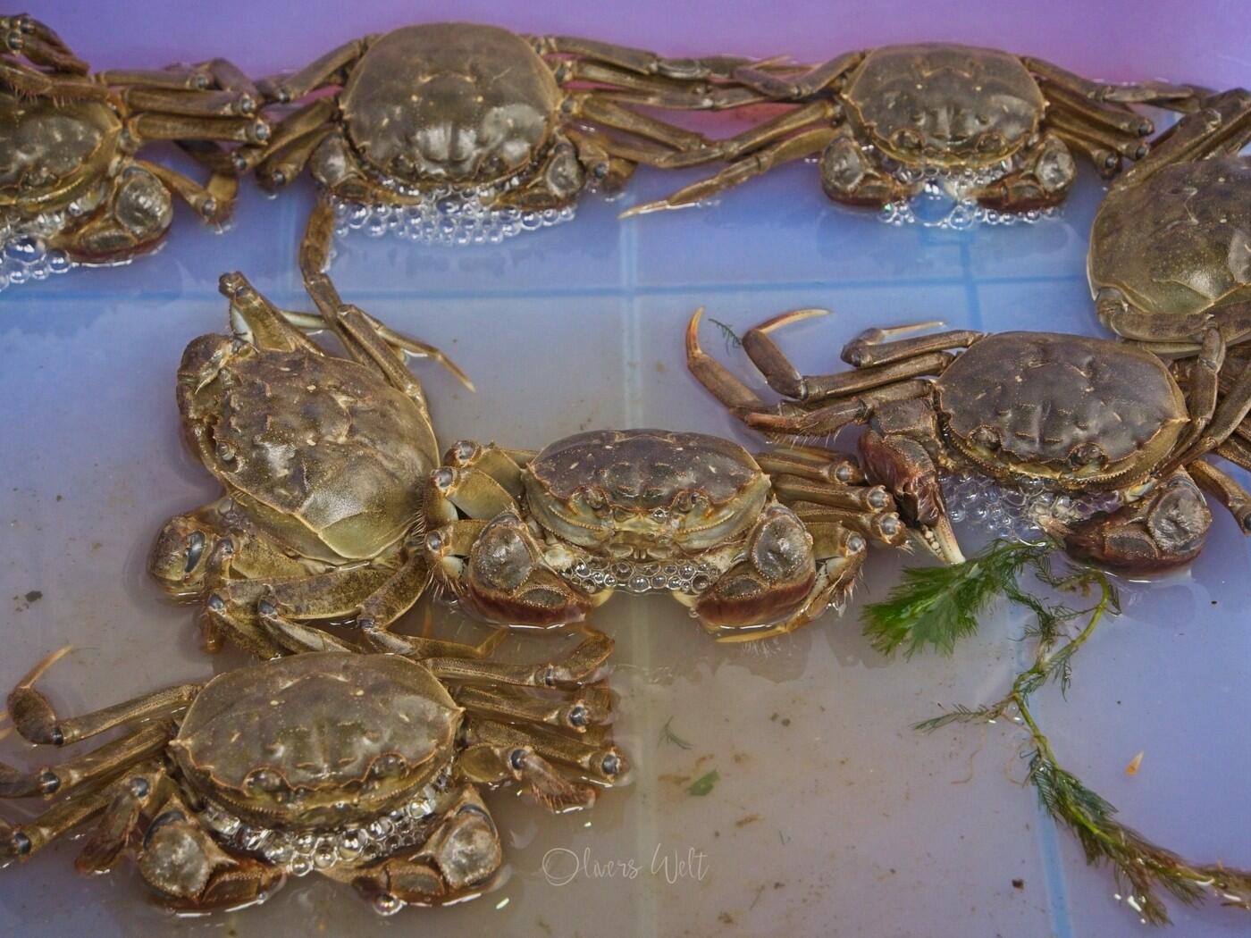 Bild ohne Beschreibung