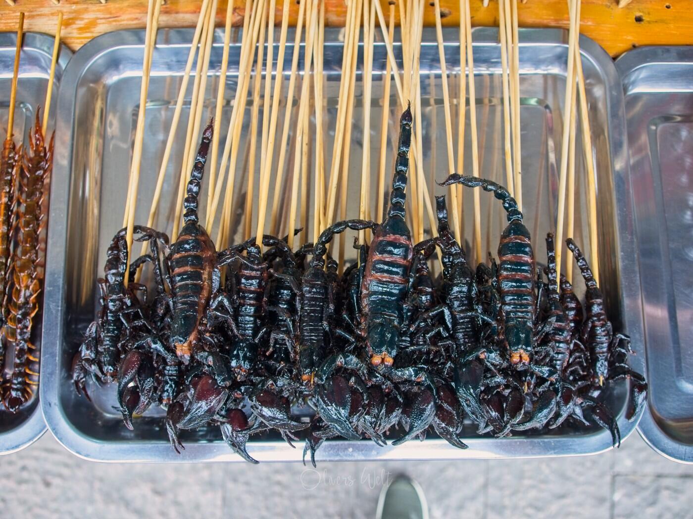 Bild ohne Beschreibung