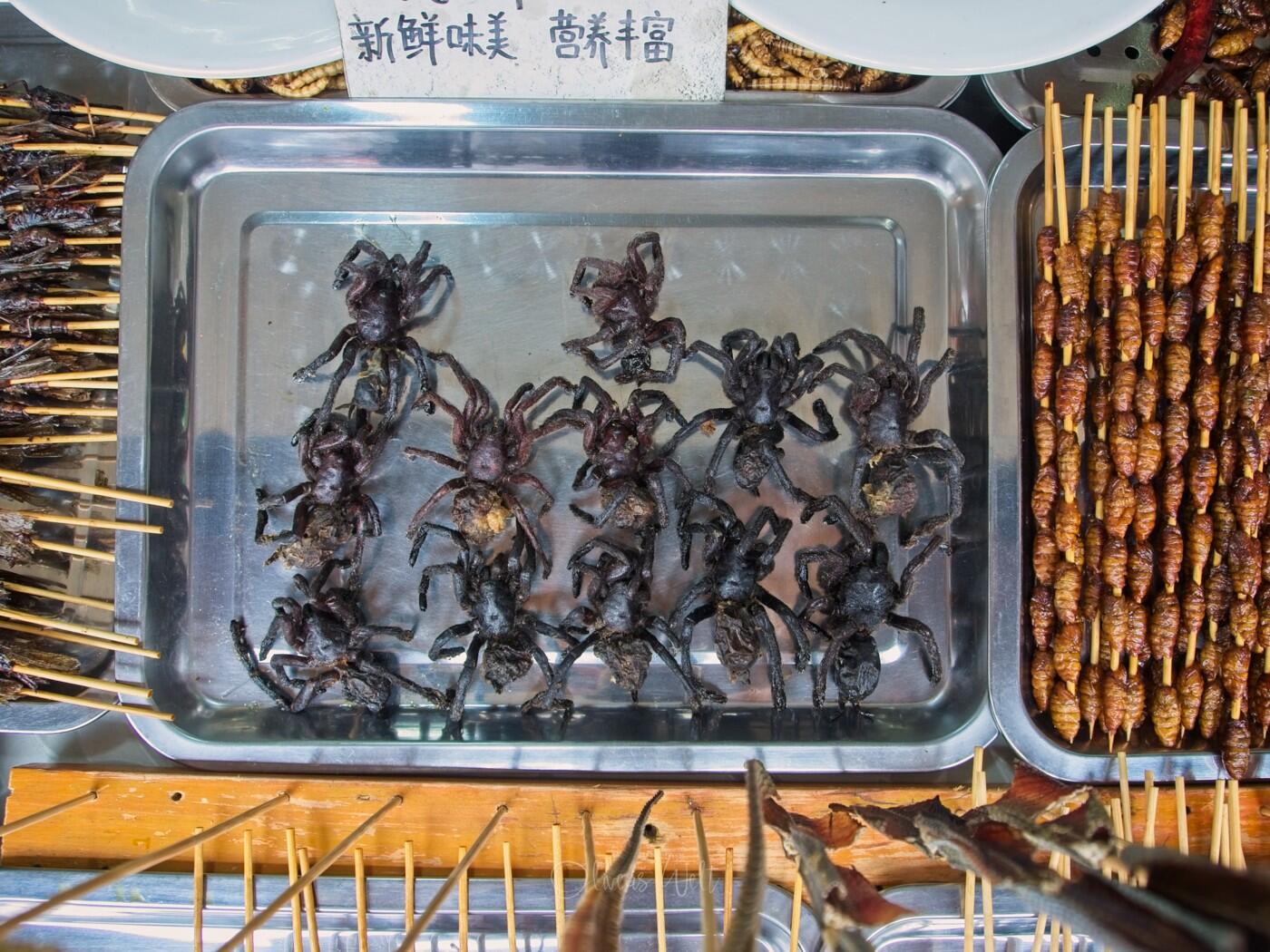 Bild ohne Beschreibung