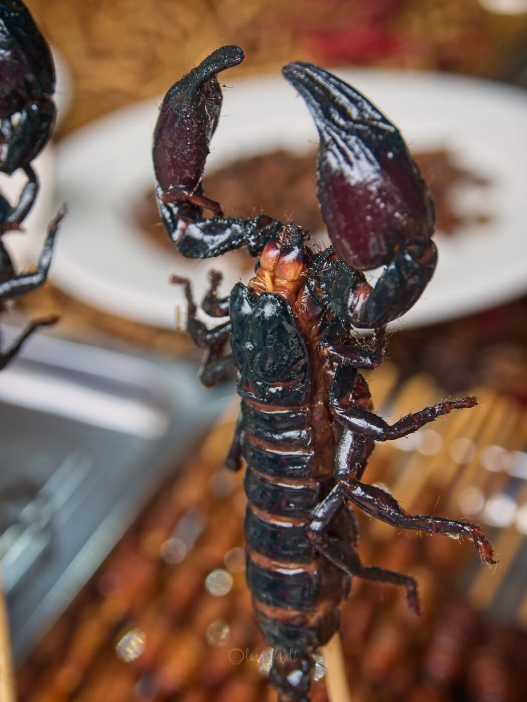 Bild ohne Beschreibung