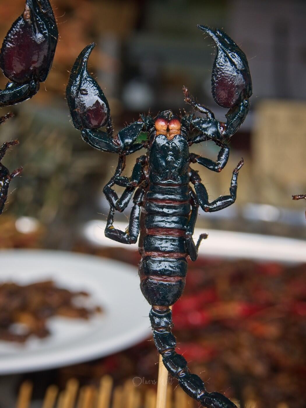 Bild ohne Beschreibung