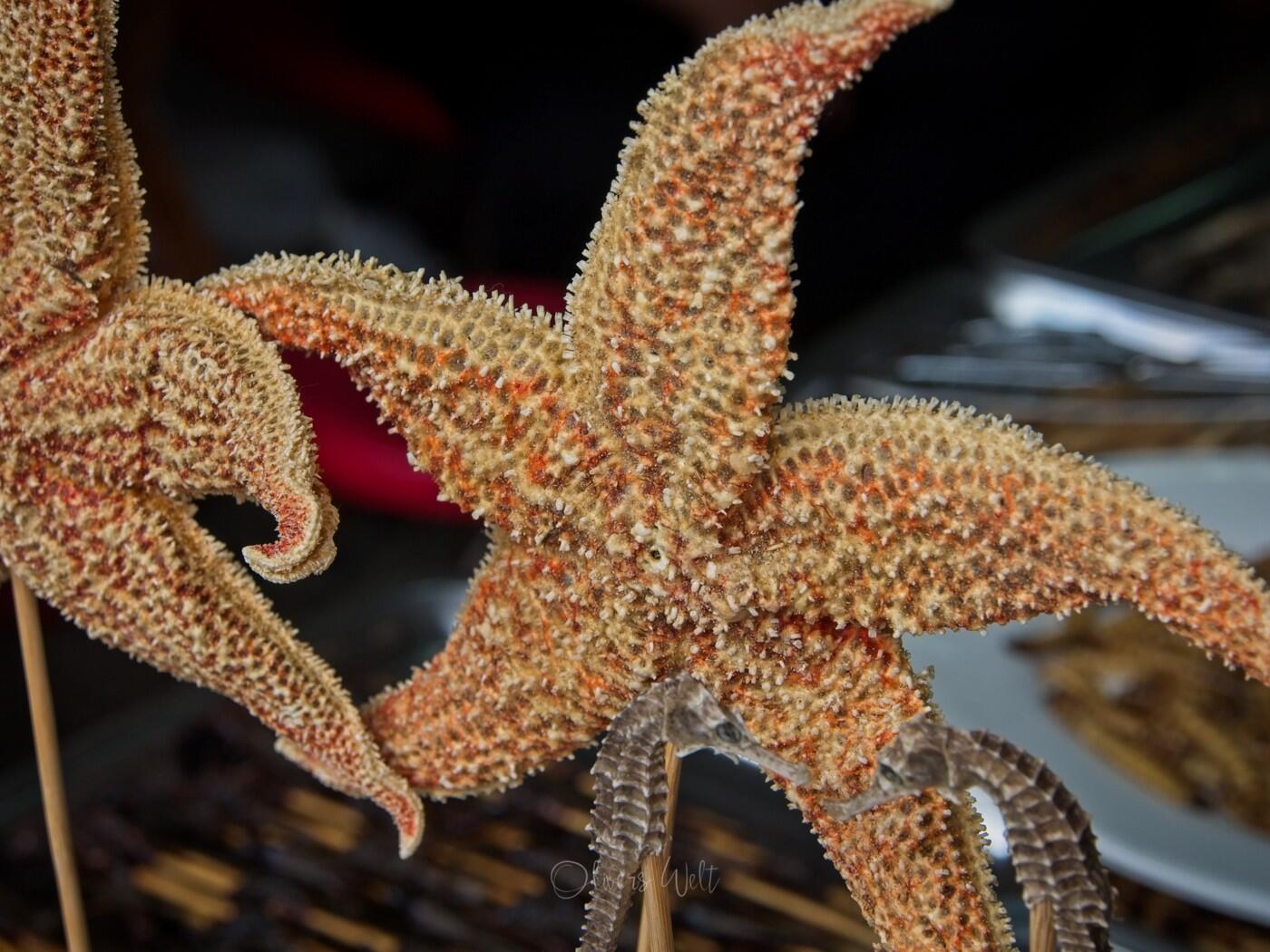 Bild ohne Beschreibung