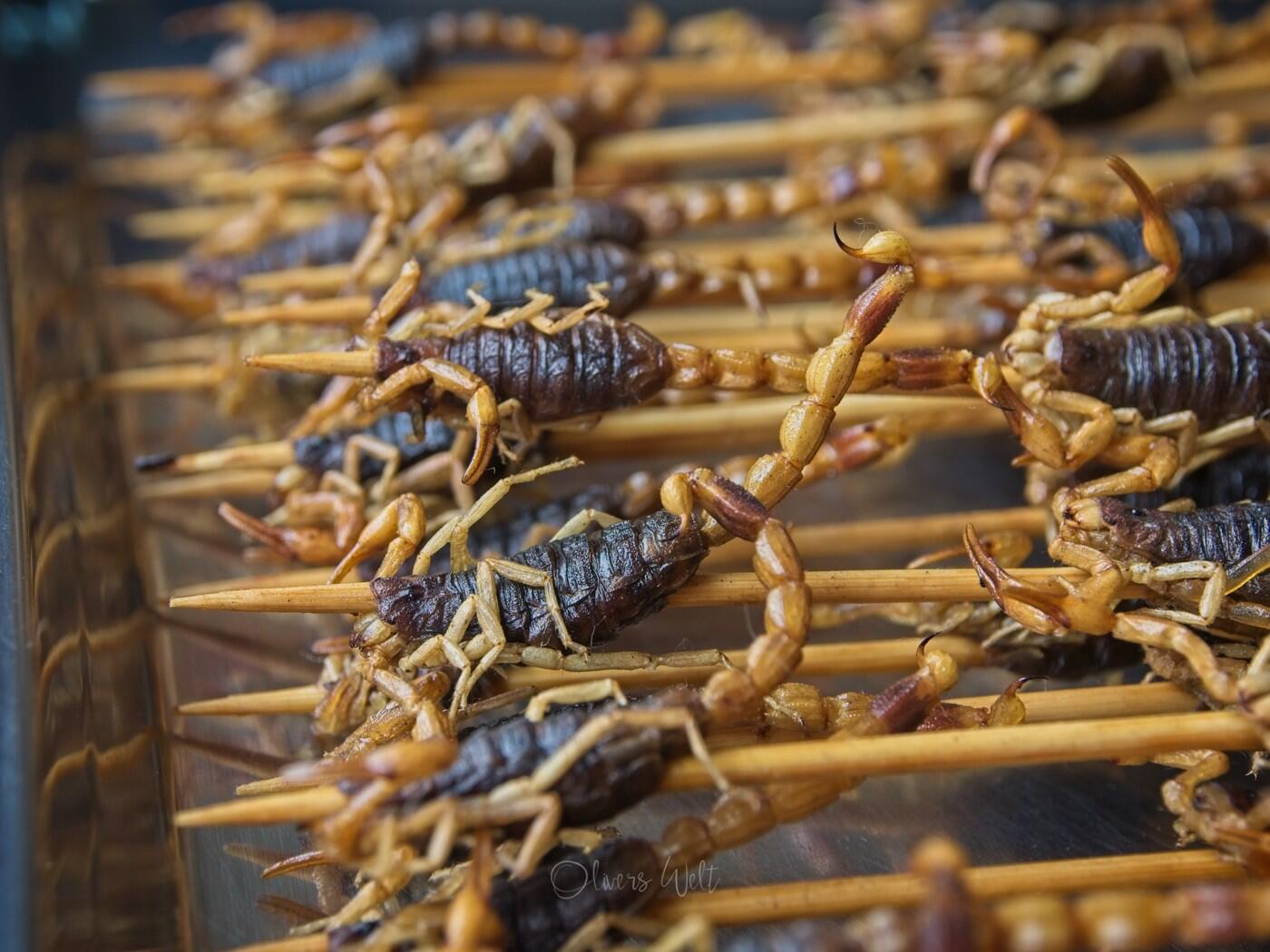 Bild ohne Beschreibung