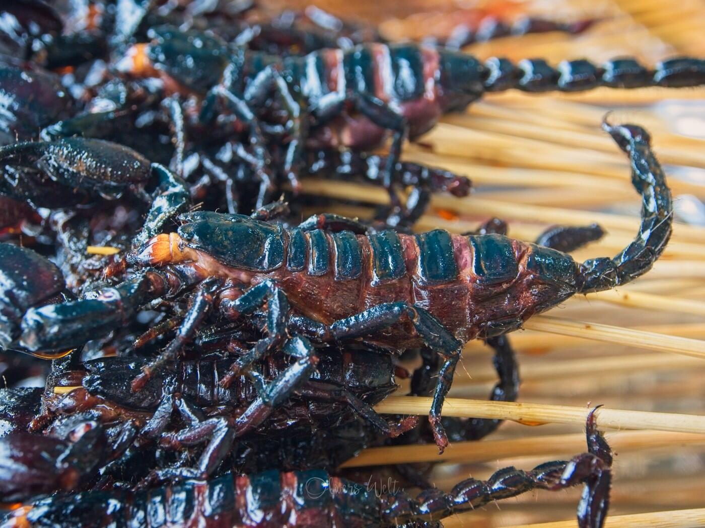 Bild ohne Beschreibung