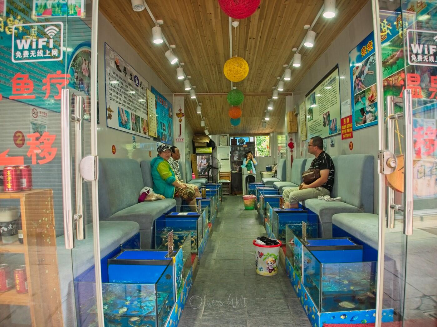 Bild ohne Beschreibung