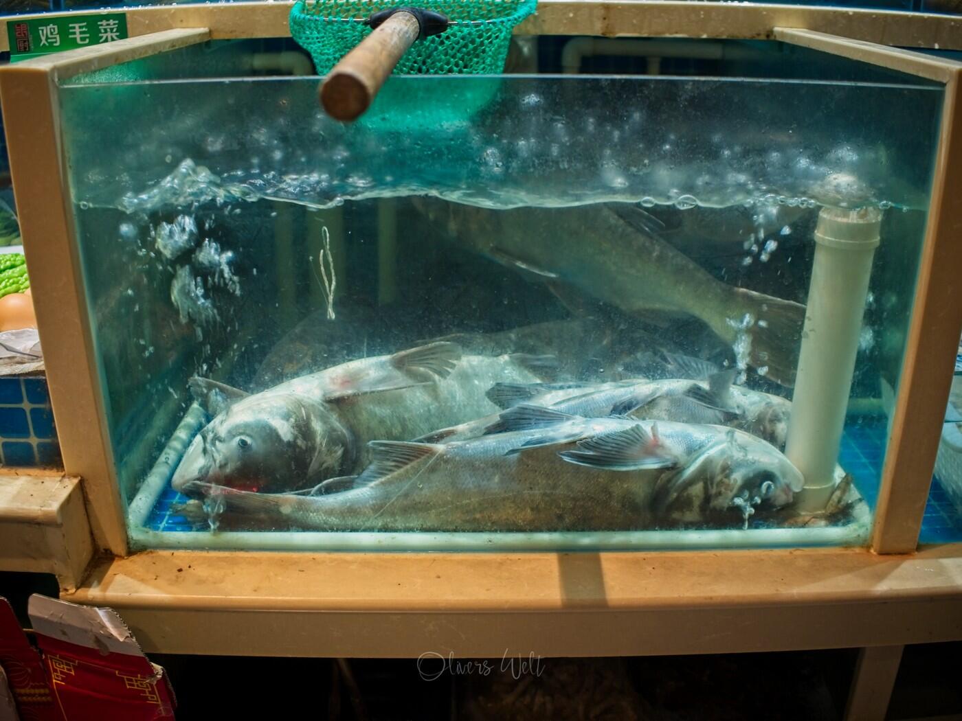 Bild ohne Beschreibung