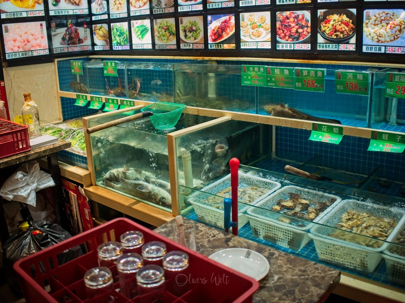 Bild ohne Beschreibung