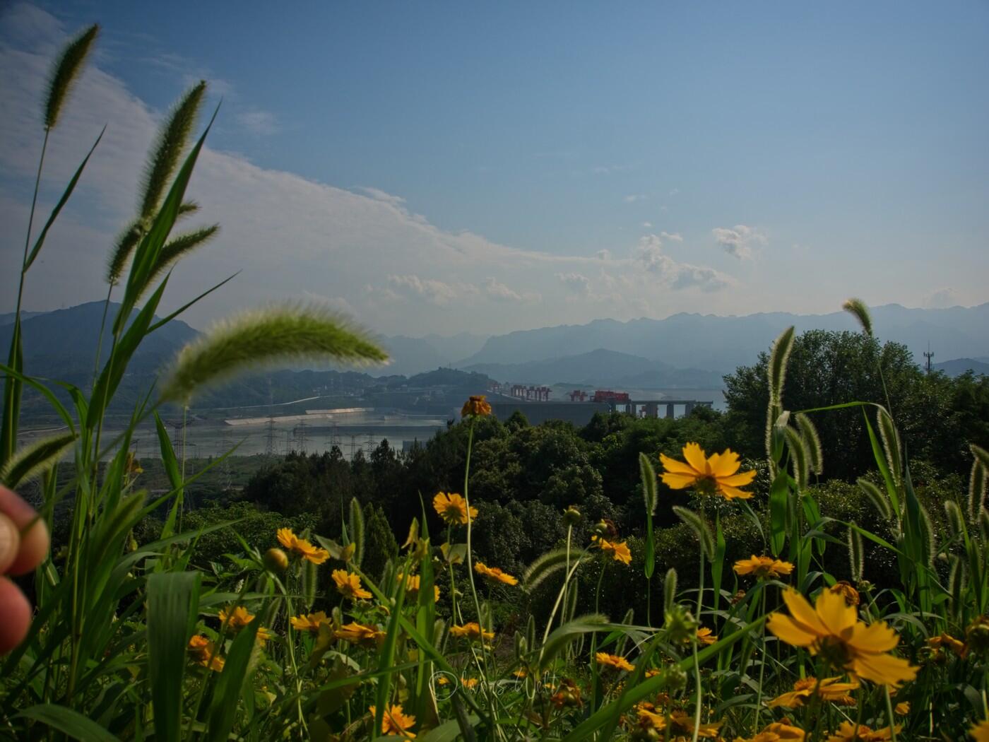 Bild ohne Beschreibung