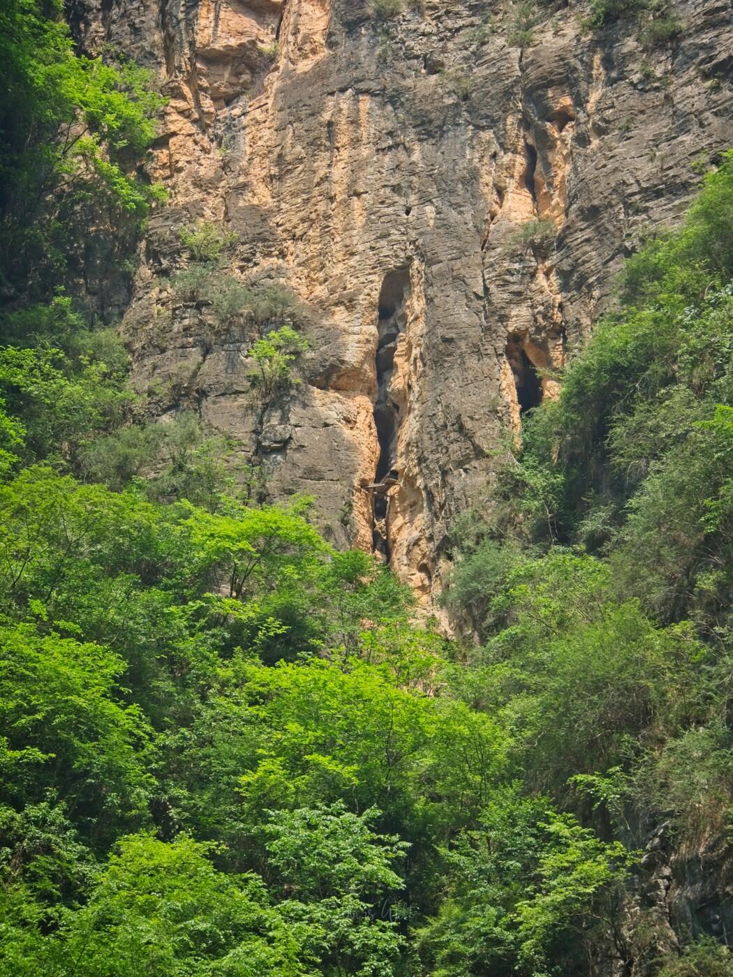 Bild ohne Beschreibung